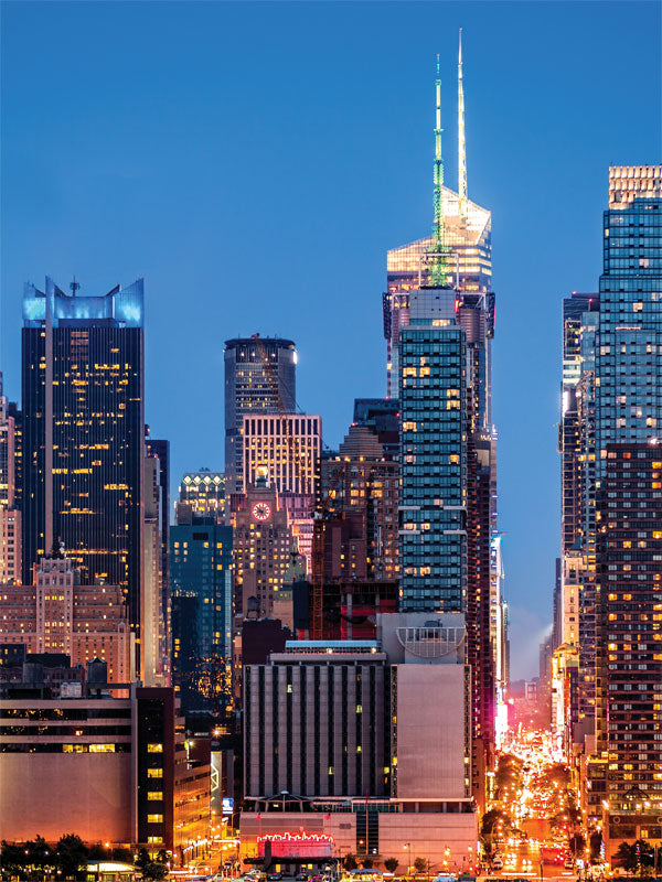 New York Skyline Printed Photography Backdrop