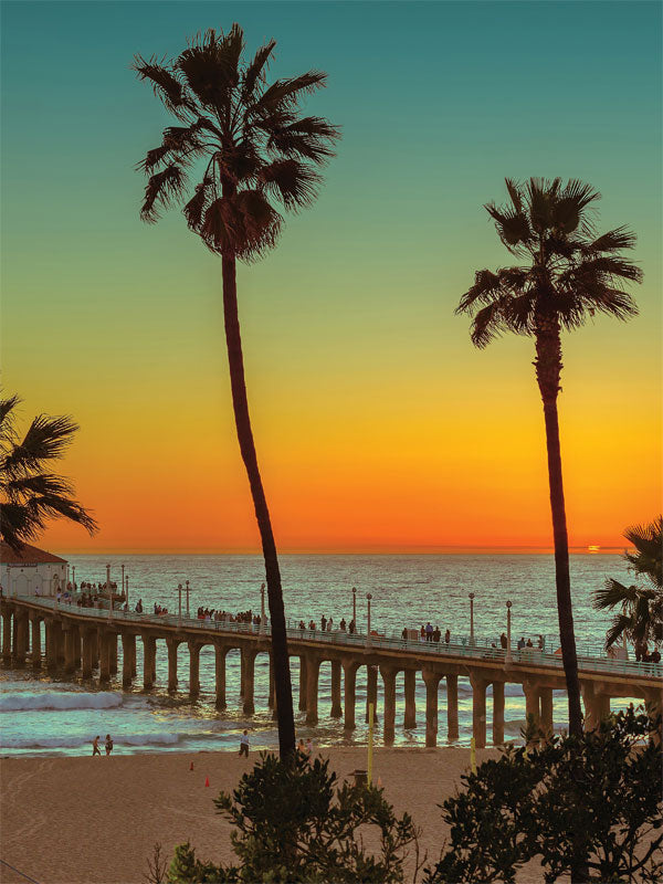 Palm Tree Beach Printed Photography Backdrop