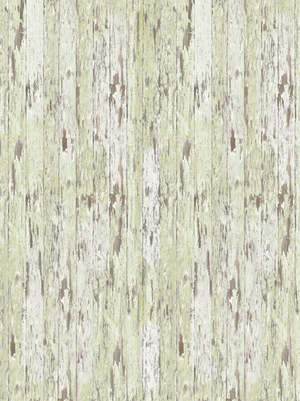Green Whitewash Wood Photography Floor Drop