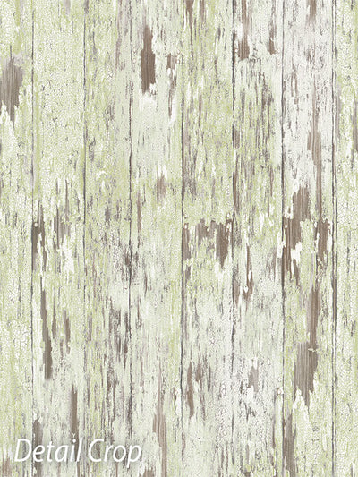 Green Whitewash Wood Photography Floor Drop