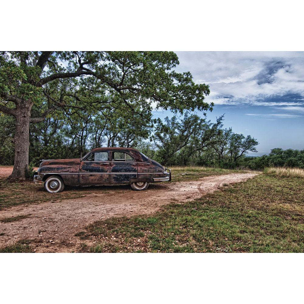 Rusty Packard Forrest Car Nature