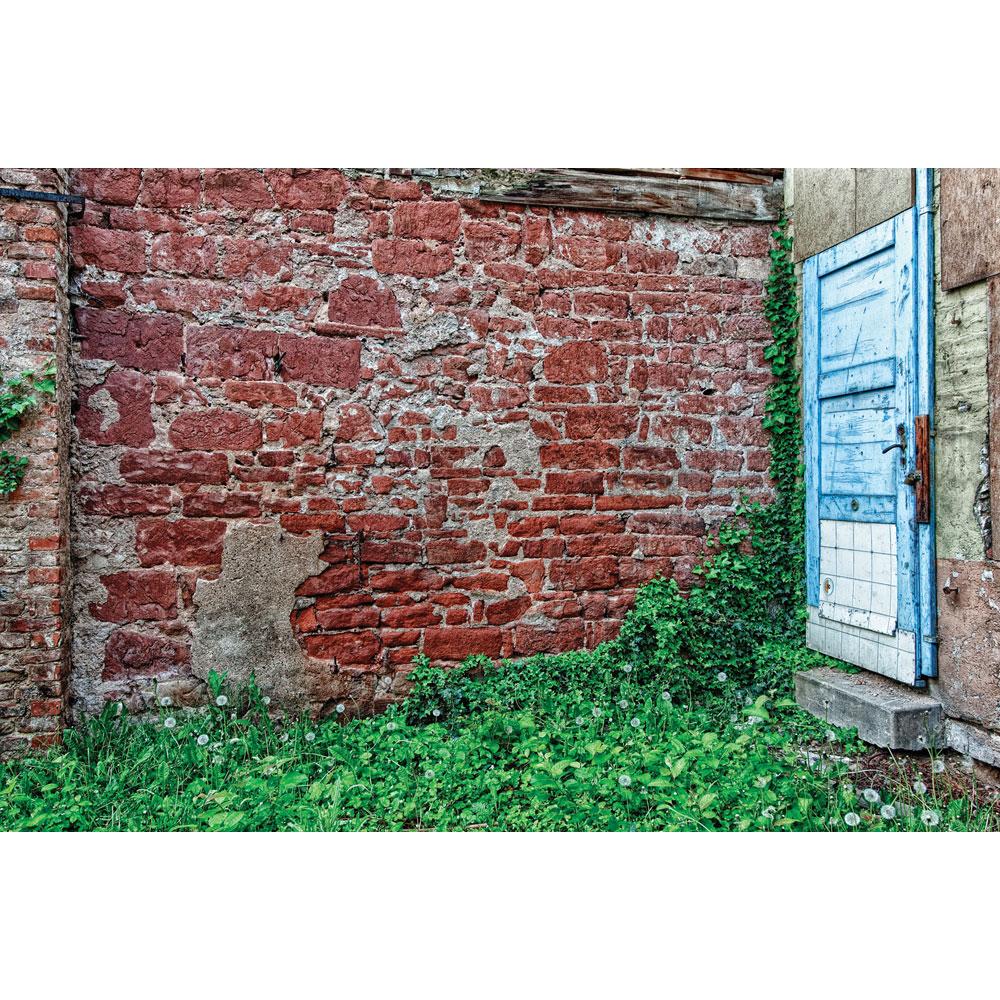 Brick Back Blue Door