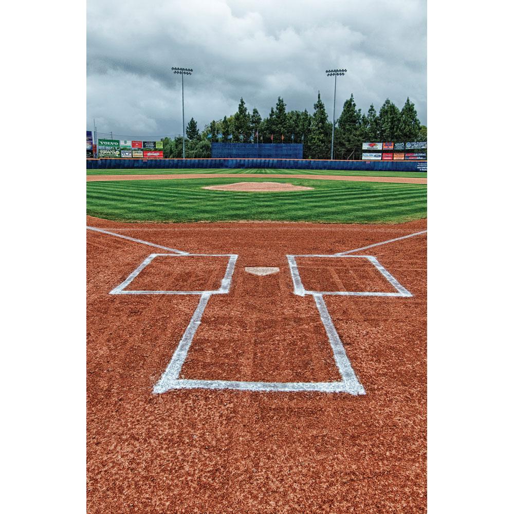 Baseball Backdrop, Sports Stadium