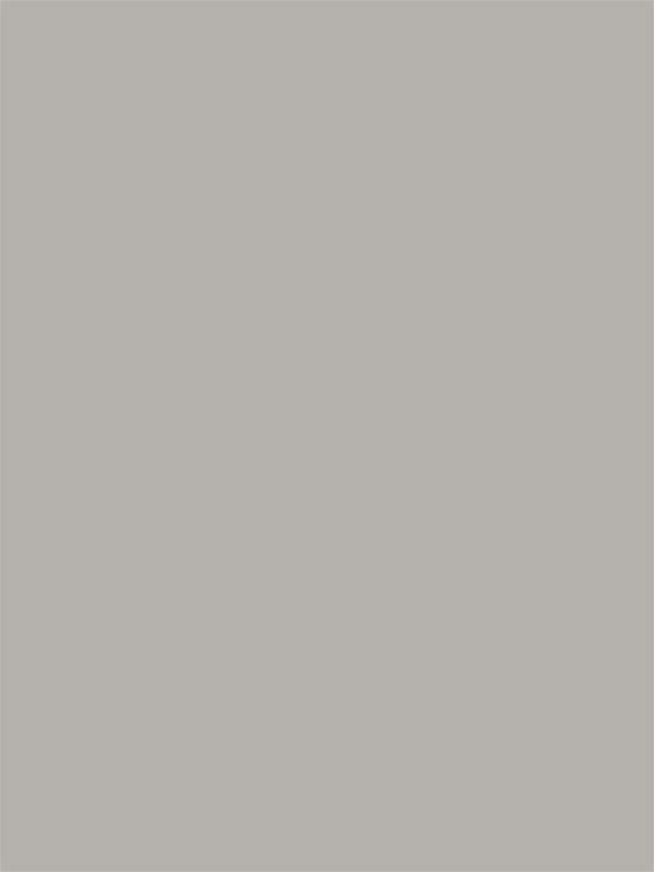 gray vinyl backdrop