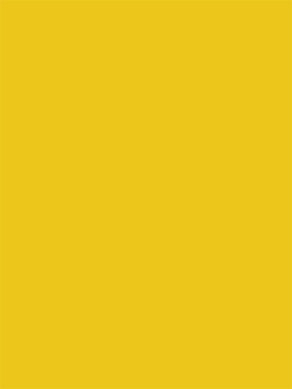 Yellow Cloth Backdrop